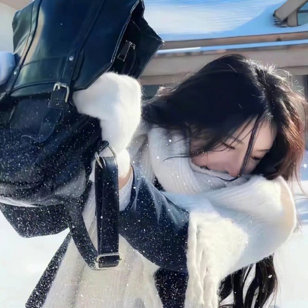 雪中悍刀行
