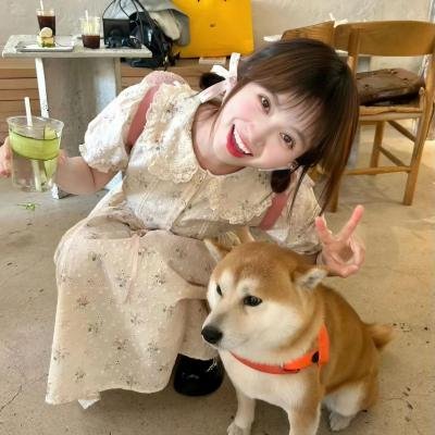 长相思第二季